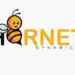 Hornet Dynamics profile picture