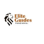 Elite Guides Tanzania Profile Picture