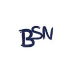 BSN Writing Services Profile Picture