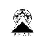 Peak Training Co profile picture