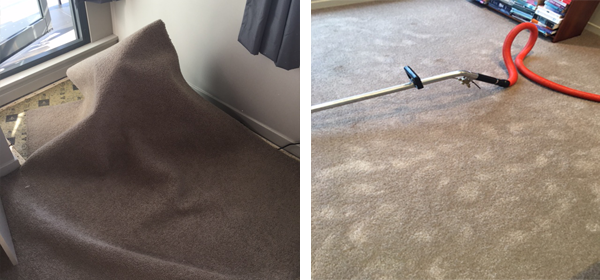 Common Mistakes to Avoid After a Flood and Carpet Cleaning – Capital Restoration Cleaning