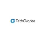 techgropse texas Profile Picture