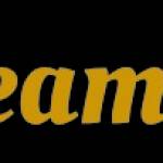 Dream Decor Profile Picture