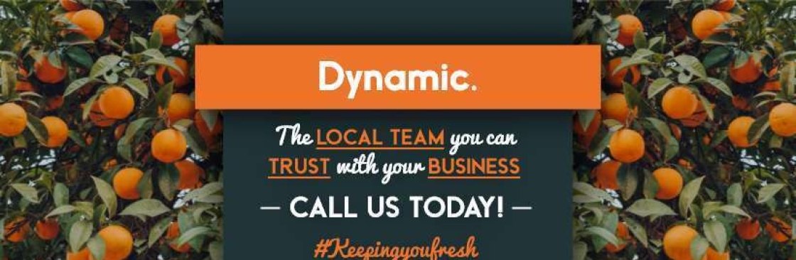 Dynamic Sales Solutions Ltd Cover Image