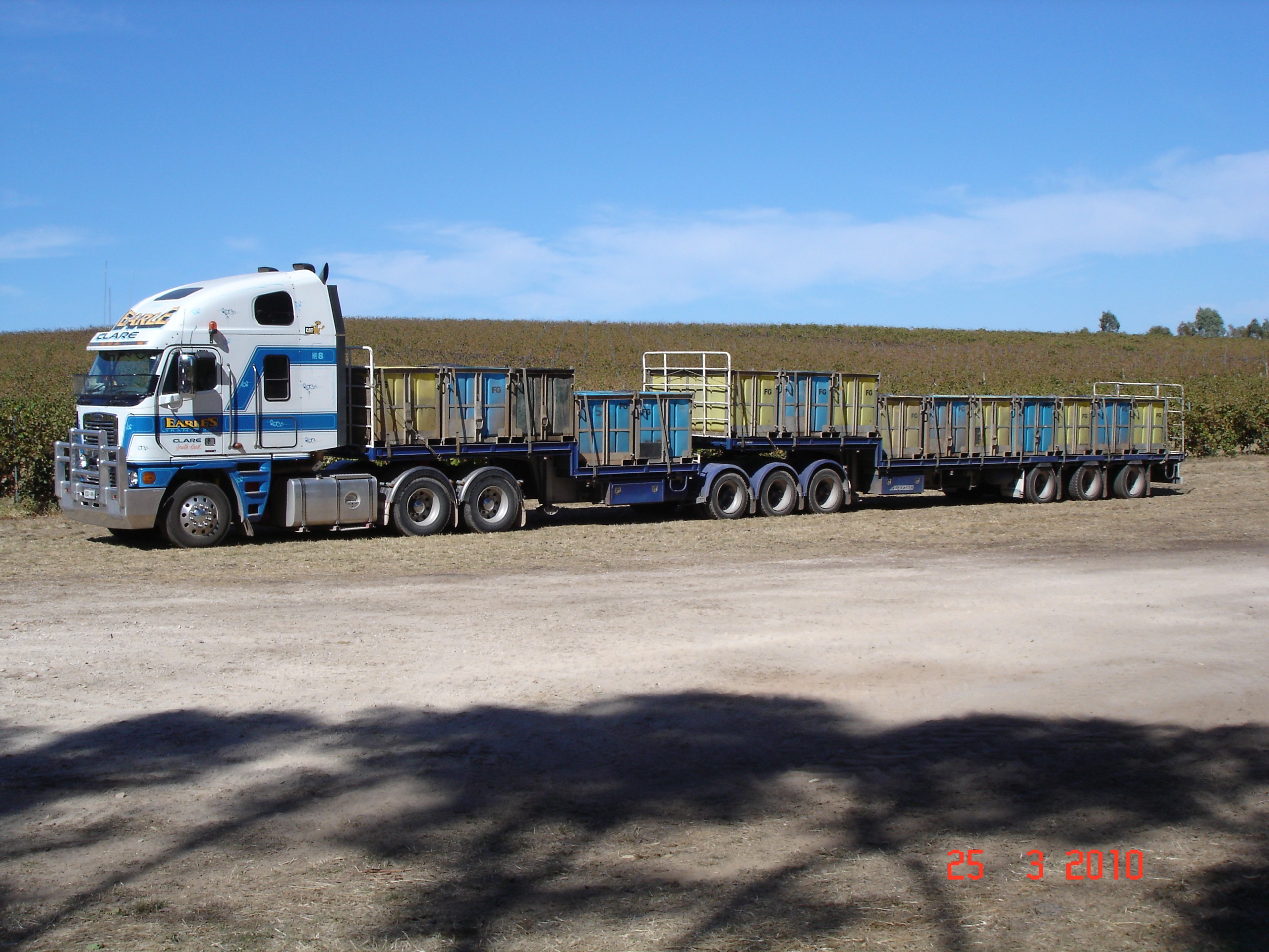Crucial Tips for Selecting the Best Grape Transport Provider