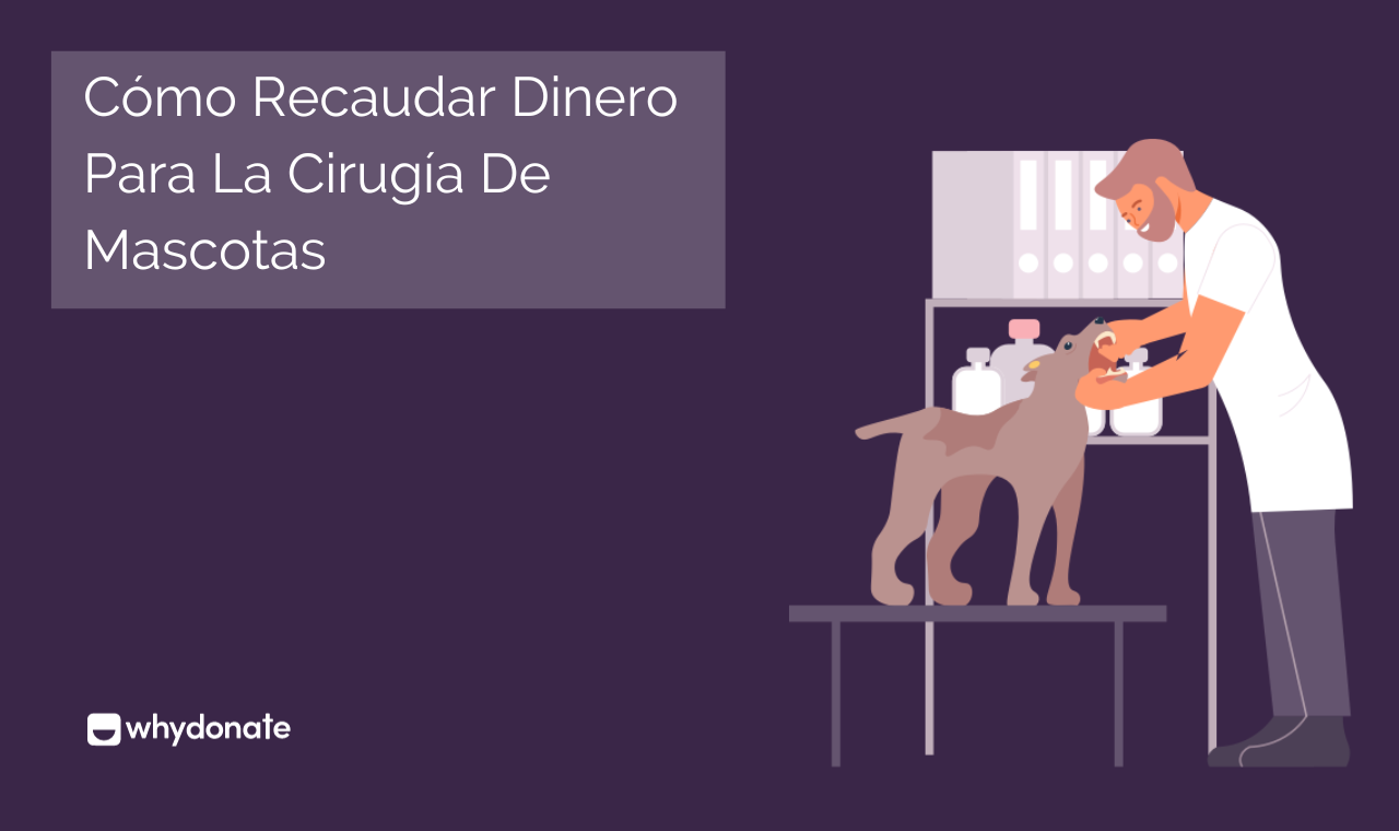 7 Idee Per Raccogliere Fondi Per La Chirurgia Degli Animali Domestici | WhyDonate