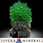 Superb Minerals profile picture