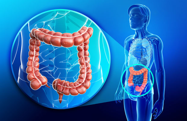 Best Colorectal Surgeon In Dubai | Proctologist Dubai | UAE