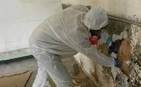 Common Myths About Mould Cleaning You Shouldn't Believe