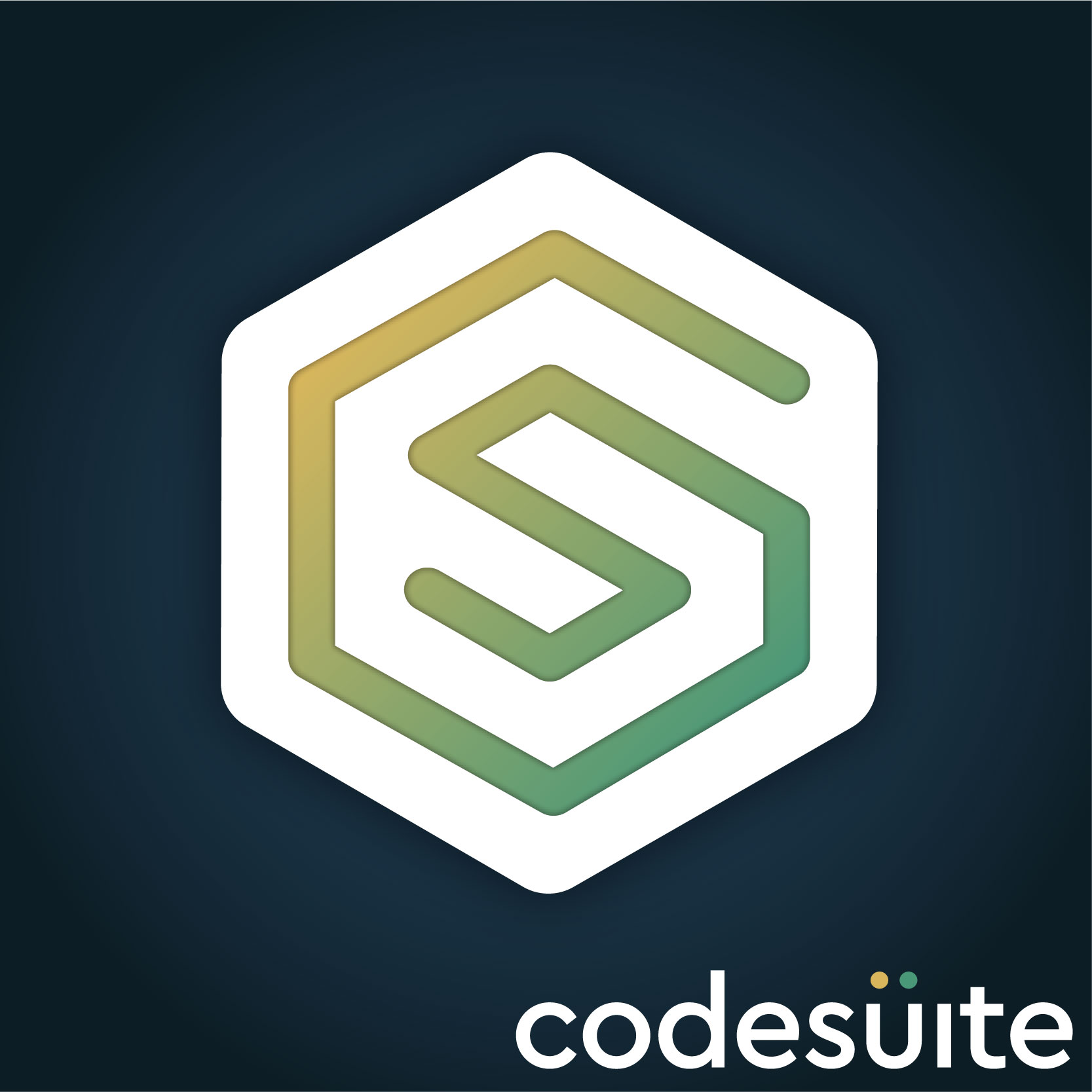 Innovative Custom Software Development Services | CodeSuite