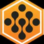 Digihive org Profile Picture