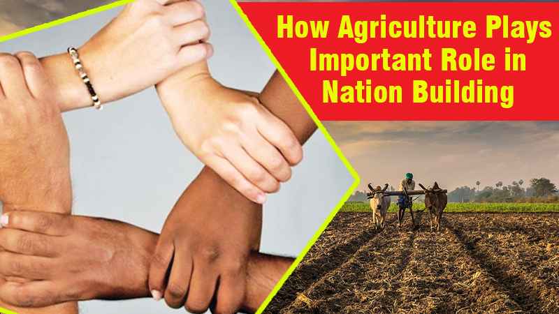 The Importance of Agriculture in Nation Building- KhetiGaadi