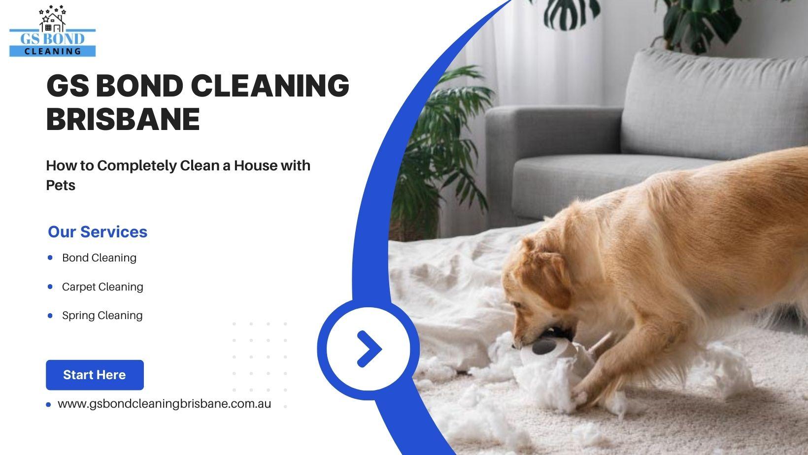 How to Completely Clean a House with Pets