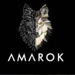 amarokagen ciaseo Profile Picture