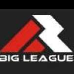 biglea gueshirts Profile Picture