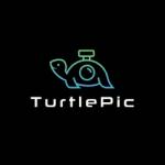 Turtle Pic Profile Picture