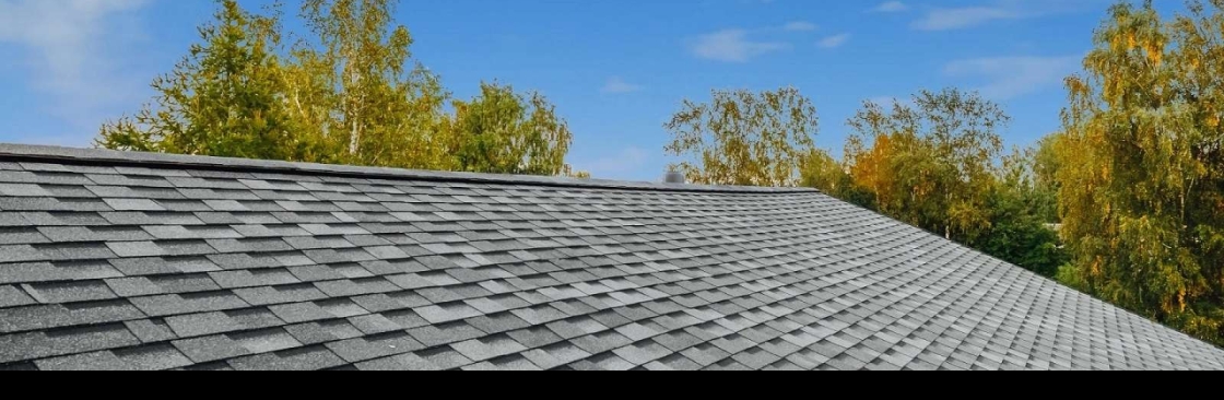 Dolphin Roofing Cover Image