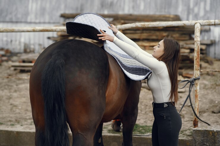 Equine Care: The Role of Horse Blankets in Keeping Your Mount Healthy – Pro-daily motivation