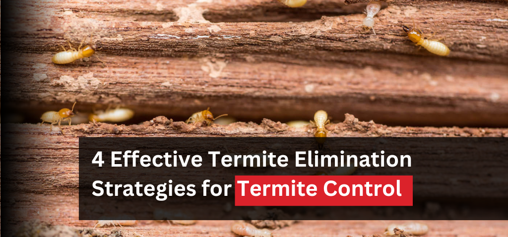 4 Effective Termite Elimination Strategies for Termite Control