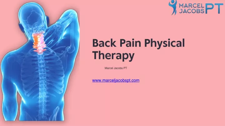 PPT - Back Pain Physical Therapy: Effective Solutions for Relief and Recovery PowerPoint Presentation - ID:13559925