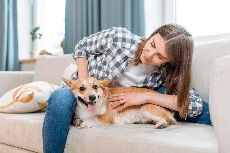 Omega 3 for Dogs: A Healthy Addition to Your Furry Friend’s Diet | by Remediovet | Sep, 2024 | Medium