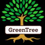 Green Tree Profile Picture