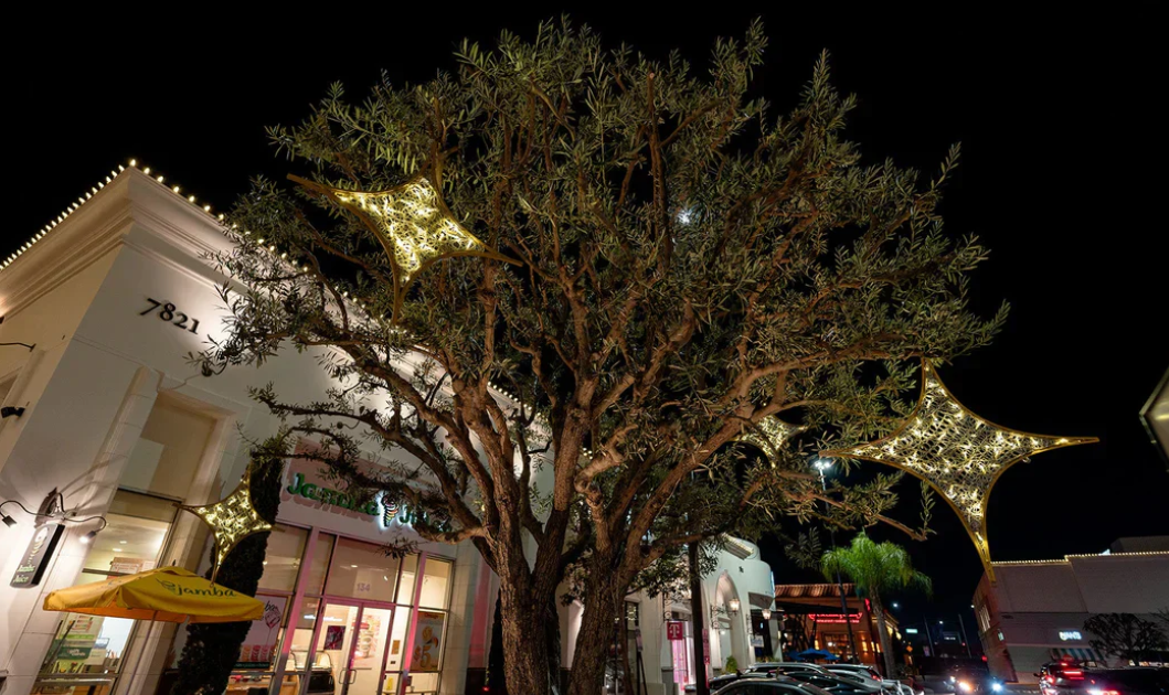 Seasonal Transformations: Decorating Tips to Keep Your Home Stylish Year-Round