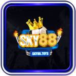 Sky 88 Profile Picture