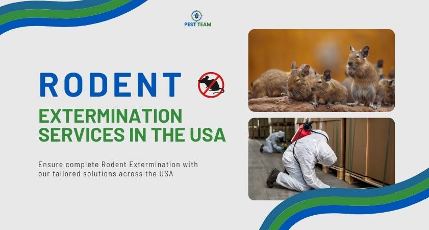 Rodent Extermination Services in the USA