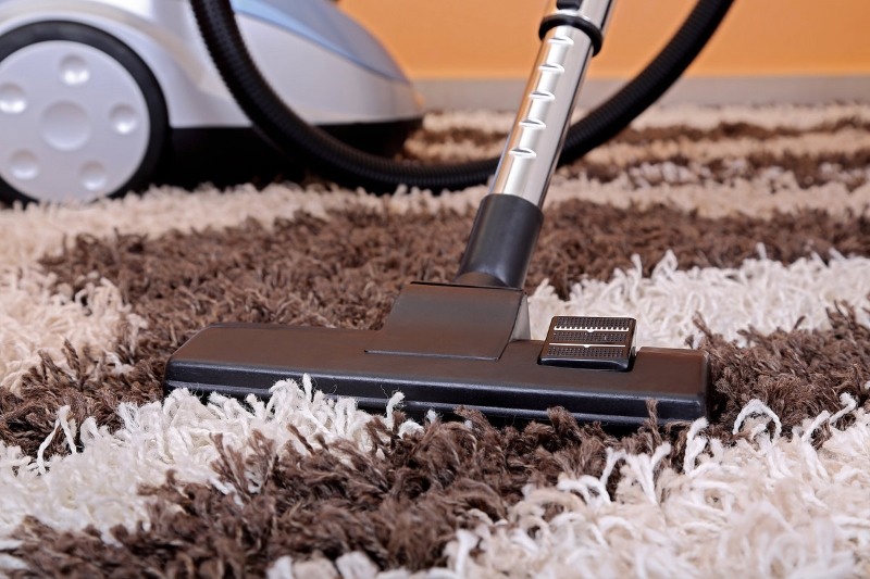 Stain Removal & Carpet Cleaning in Scarborough - CokNews