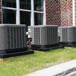 sana bano Profile Picture