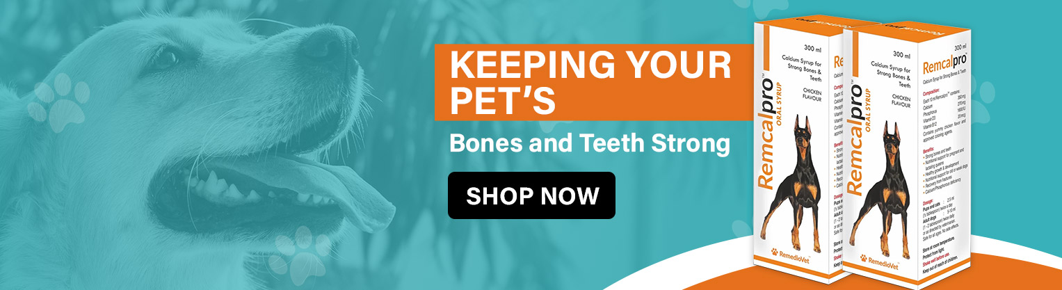 Premium Dog Collar and Leashes | Remediovet