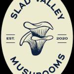 Slad Valley Mushrooms Ltd Profile Picture