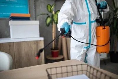 The Risks of DIY Pest Control: What You Should Know