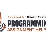 Programming Assignment Help profile picture