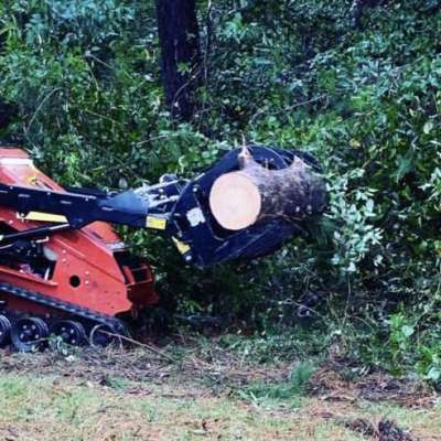 Professional Tree Removal Service Provider in Mississippi Profile Picture