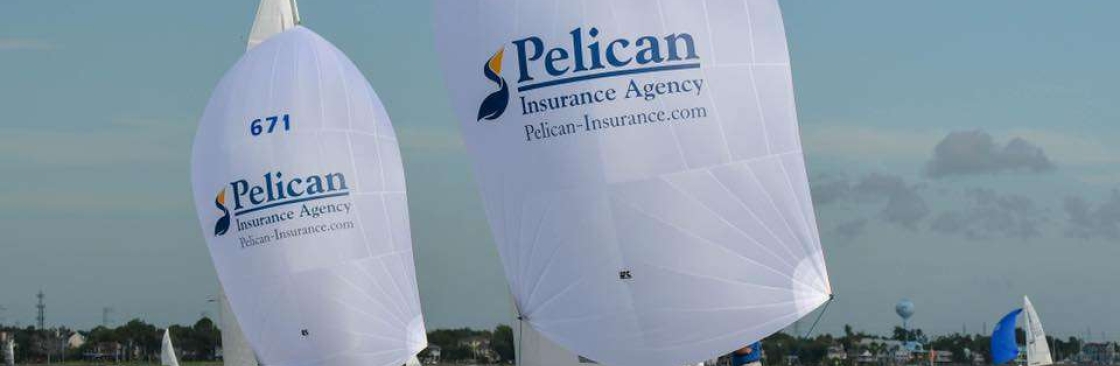 Pelican Insurance Cover Image