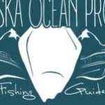 Alaska Ocean Pros Homer Alaska Halibut Fishing Charters Profile Picture