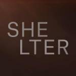 SHELTER Profile Picture