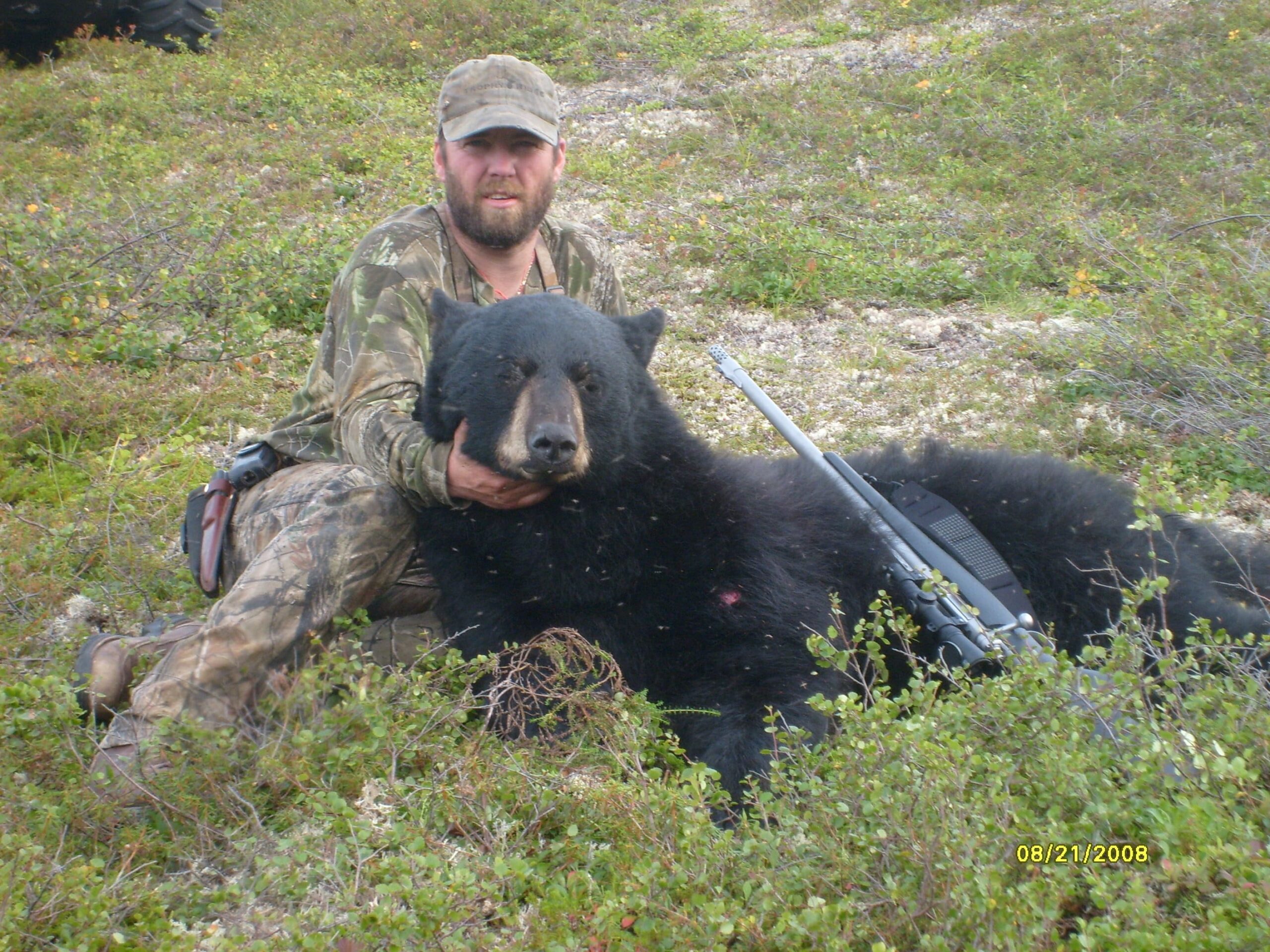 Alaska Black & Brown Bear Hunts | Bear Hunting Season - Alaska Moose & Brown Bear Hunting