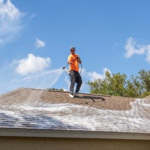 Viktigheten av å vaske taksteinene dine regelmessig – Site Title