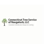 Connecticut Tree Service Naugatuck LLC Profile Picture