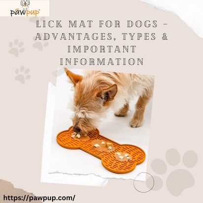 Lick Mat for Dogs – Advantages, Types & Important Information - The Random Collective
