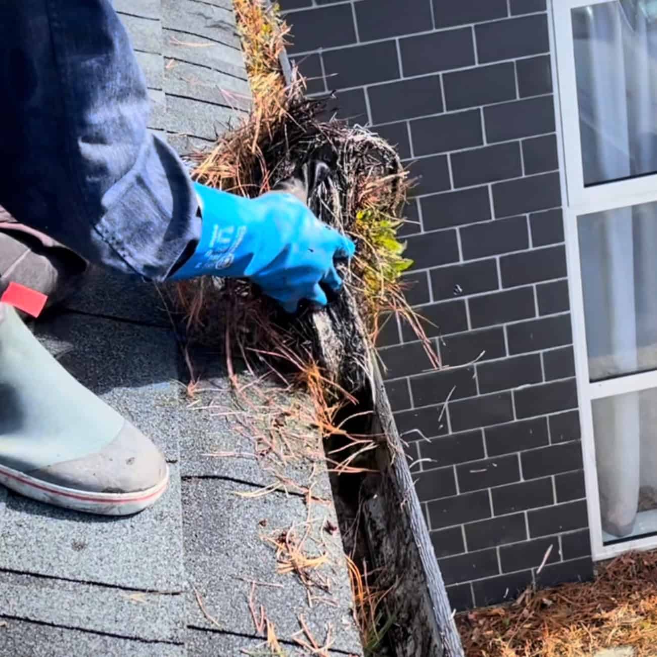 Gutter Cleaning Auckland | Prevent Damage, Extend Life