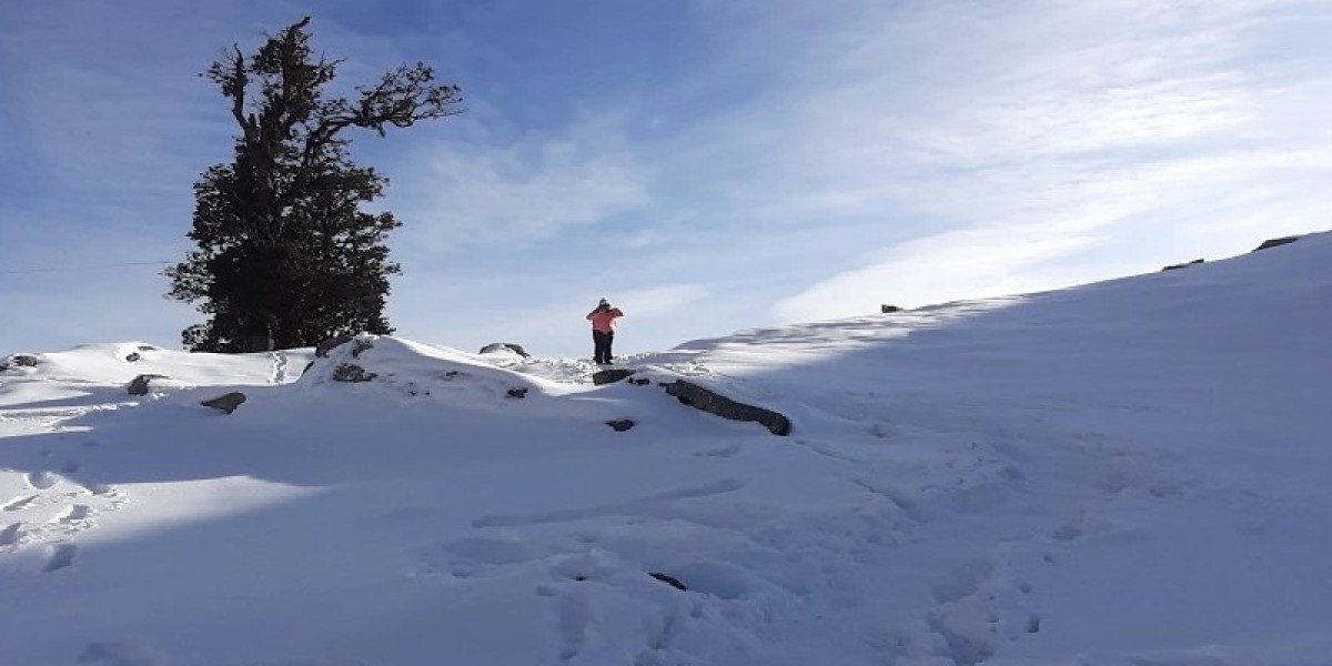 Laka Glacier Trek: A Challenging Adventure in the Himalayas