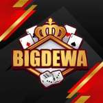 BIGDEWA VIRAL Profile Picture