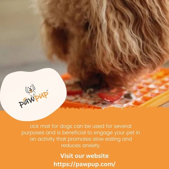 What Are the Uses & Benefits of Lick Mat for Dogs? - Saytechi