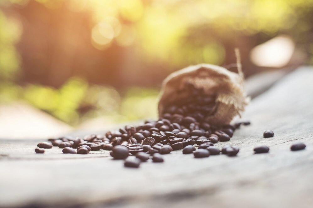 How To Choose The Best Coffee Beans In Brisbane