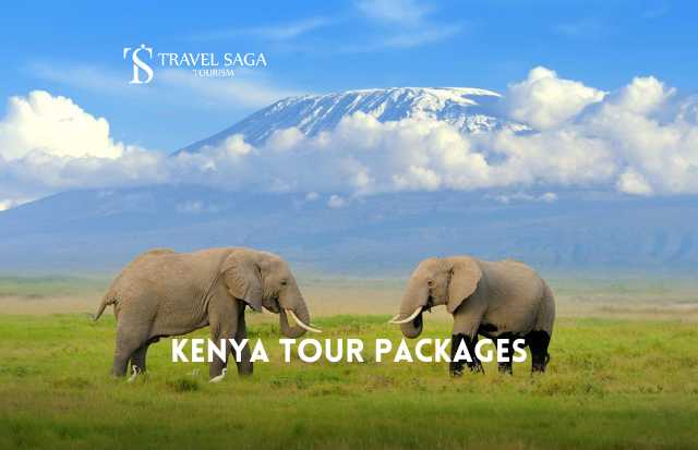 Kenya Tour Packages - Book Kenya Holiday Packages with Travel Saga Tourism