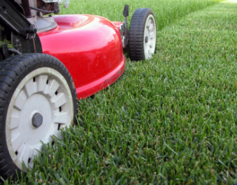 Comprehensive Lawncare Guide: Treatments and Pest Management for a Thriving Lawn | by Luxurylawns | Oct, 2024 | Medium